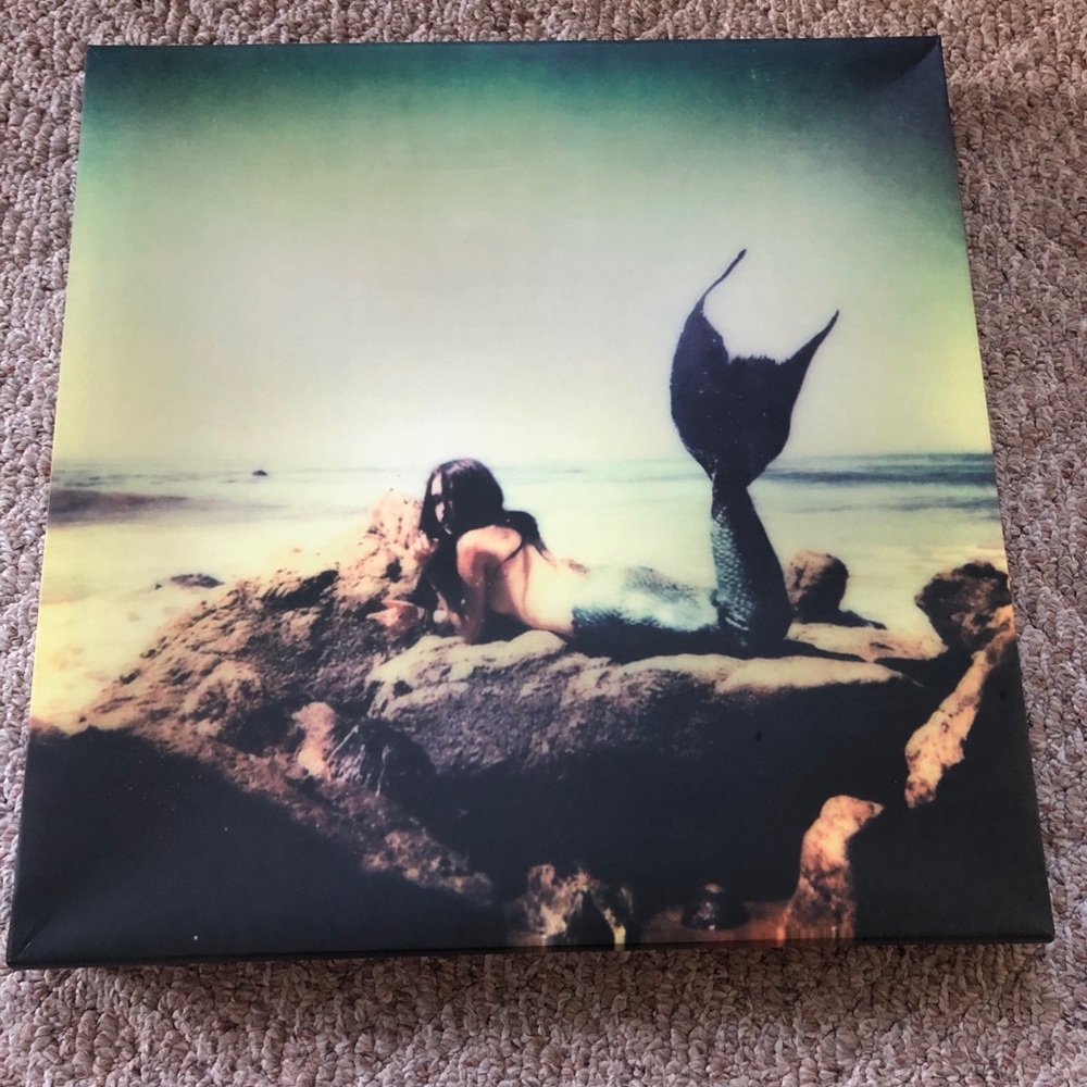 Mermaid Canvas